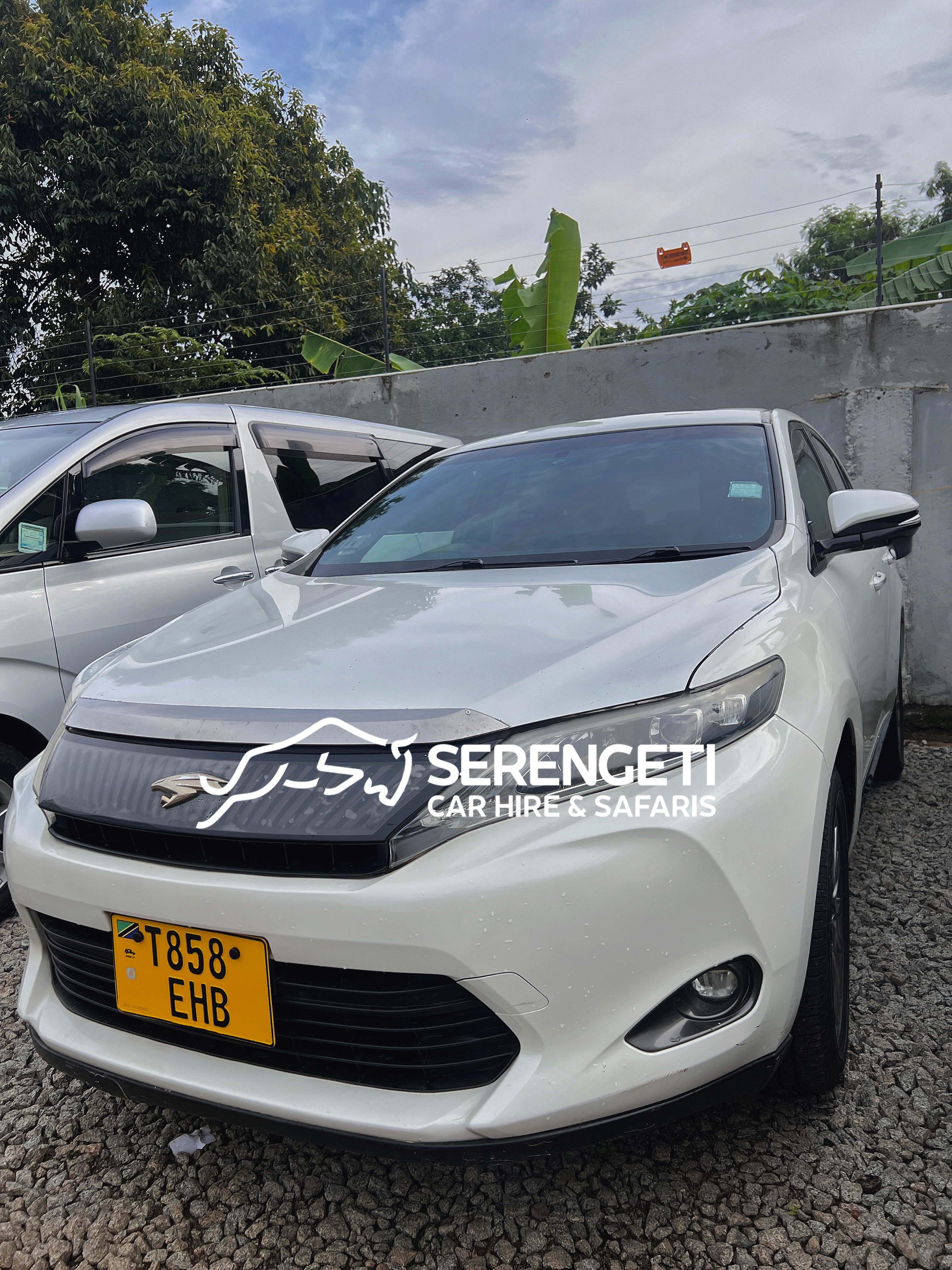 TOYOTA HARRIER ANACONDA car for sale