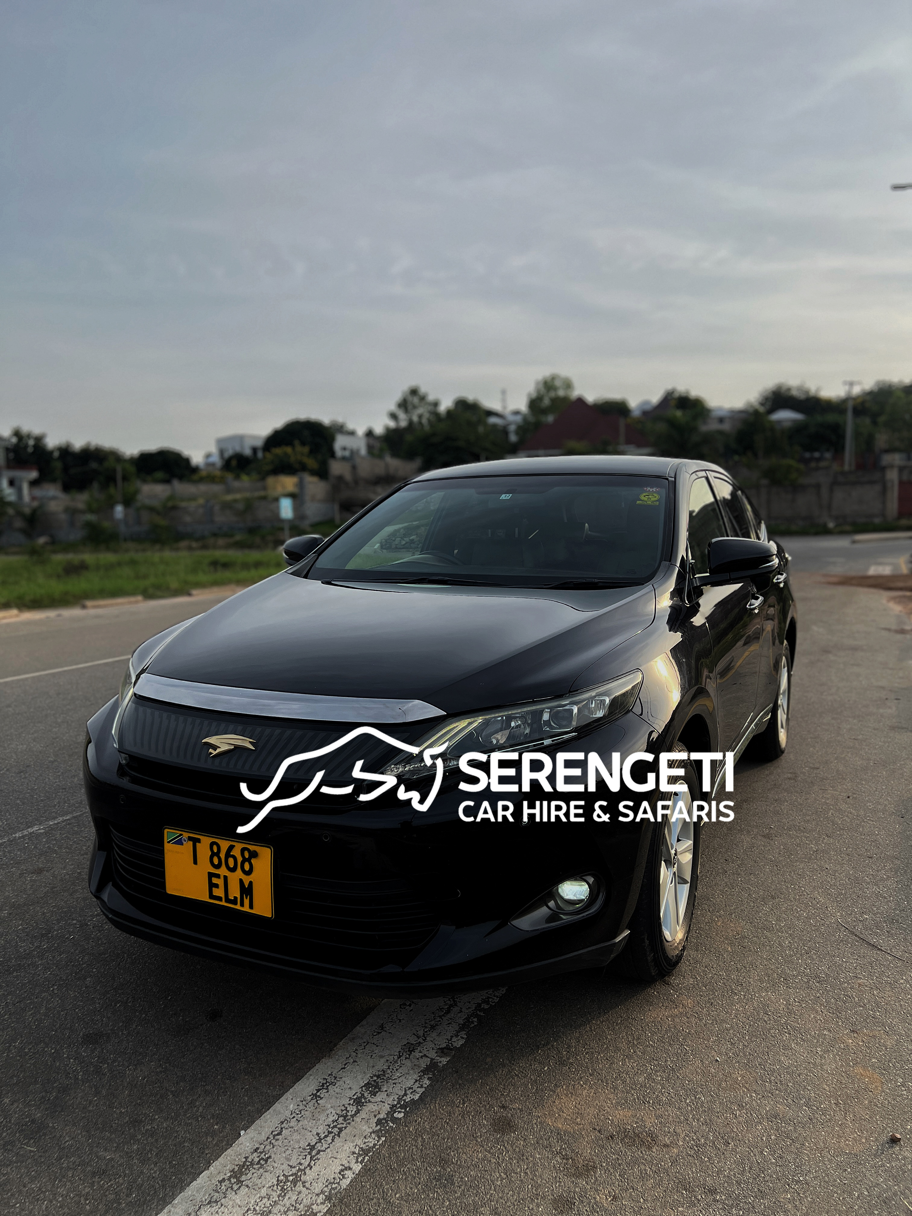 TOYOTA HARRIER ANACONDA car for sale