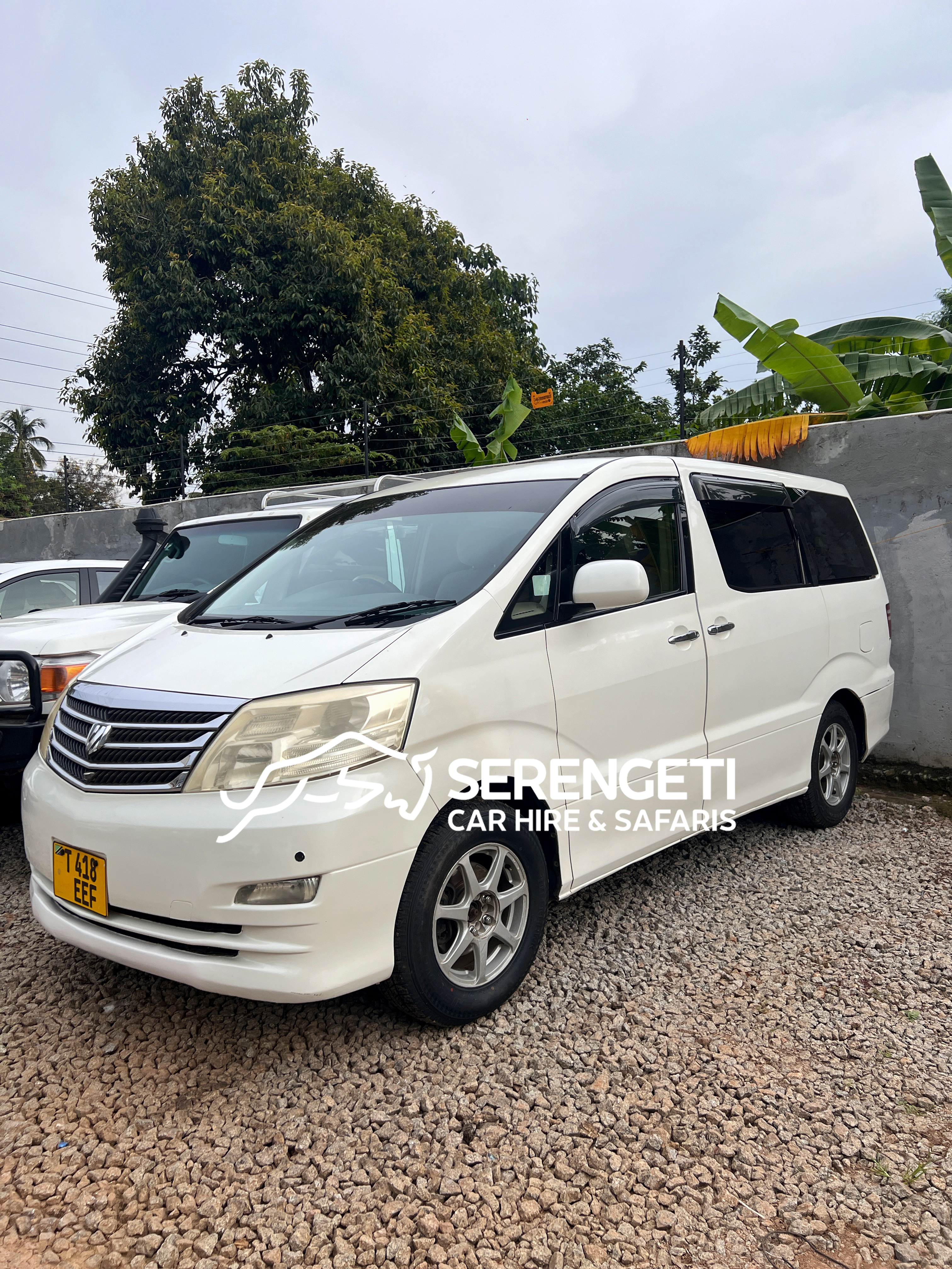 TOYOTA ALPHARD car for sale